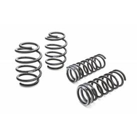 Pro-Kit Performance Front and Rear Lowering Springs