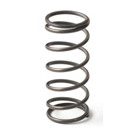 Go Fast Bits EX50 9PSI Middle Spring