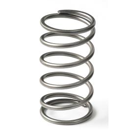 Go Fast Bits EX50 13PSI Outer Spring