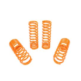 KSport Lowering Spring Set