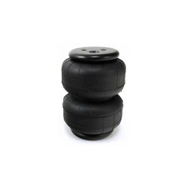   Air Lift Dominator D2500 Single 1/2" port