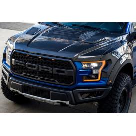 Anderson Composites 2017-2018 Ford Raptor Type-OE Style Carbon Fiber Hood