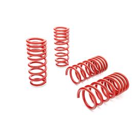 Sportline Lowering Springs Kit