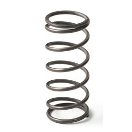   Go Fast Bits EX50 9PSI Middle Spring