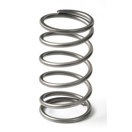   Go Fast Bits EX50 13PSI Outer Spring