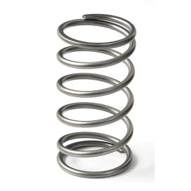 EX50 13PSI Outer Spring