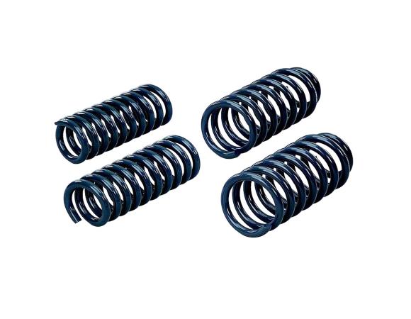 Hotchkis 05-07 Dodge Charger Sport Coil Springs - Hotchkis 19104