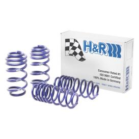 2009-2017 Audi Q5 H&R Sport Lowering Springs