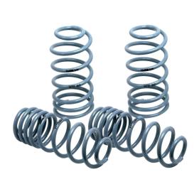 H&R Race Lowering Springs