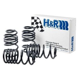  2009-2016 Lincoln MKS H&R Sport Lowering Springs