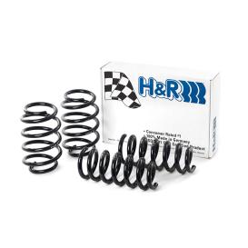  2009-2019 Ford Flex H&R Sport Lowering Springs