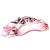 Glossy Red +$250.00