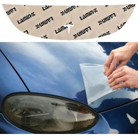  2020-2021 Tesla Y Lamin-X Invisible Bug Guard
