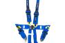 NRG Innovations FIA Approved Blue 6-Point Cam-Lock Racing Seat Belt Harness Compatible with Hans Devices - NRG Innovations SBH-HRS6PCBL
