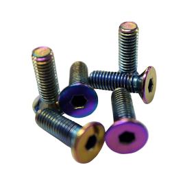 Coninical Head Neo Chrome Screw Set