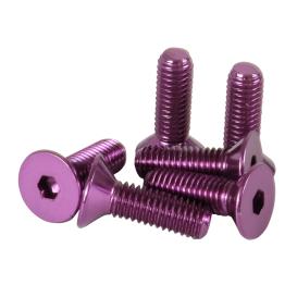 Coninical Head Purple Screw Set