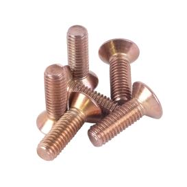 Coninical Head Rose Gold Screw Set