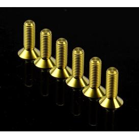   NRG Innovations Coninical Head Gold Titanium Screw Set