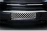 Putco EcoBoost Style Black Bumper Grille - Putco 82182