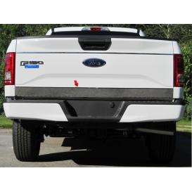 QAA 1-Pc Stainless Steel Tailgate Accent Trim