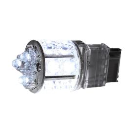 Recon 3156 White 360 Degree LED Bulbs