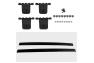 Spec-D Tuning OE Style Roof Rack - Spec-D Tuning RRB-PLT09BK