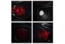 Spyder Black Smoke Euro Tail Lights - Spyder 5077998