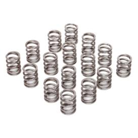 Valve Springs