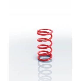 Eibach Front Conventional Spring