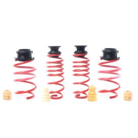 H&R VTF Adjustable Lowering Springs