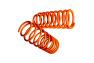 KSport GT Lowering Springs