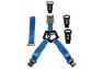 N-Fab Bed Mounted Rapid Tire Strap
