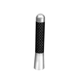 Spec-D Decorative Antenna