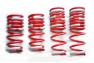 Tanabe GF210 Performance Lowering Springs - Tanabe TGF002