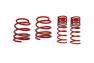 Tanabe GF210 Performance Lowering Springs - Tanabe TGF038